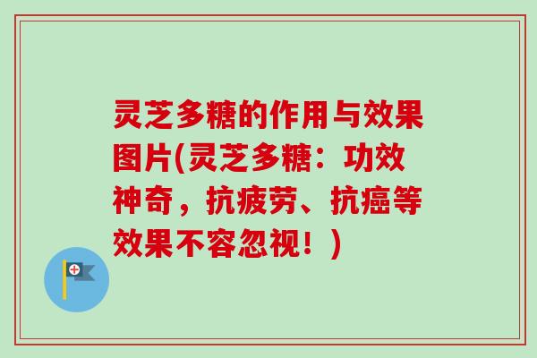 灵芝多糖的作用与效果图片(灵芝多糖：功效神奇，、抗等效果不容忽视！)