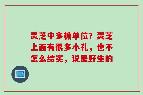 灵芝中多糖单位?灵芝上面有很多小孔,也不怎么结实,说是野生的 灵芝中多糖单位?灵芝上面有很多小孔,也不怎么结实,说是野生的