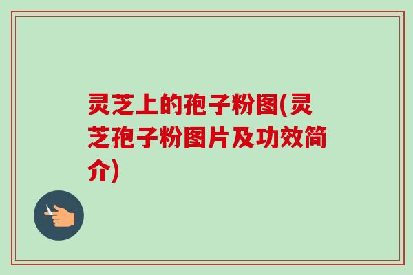 灵芝上的孢子粉图(灵芝孢子粉图片及功效简介)
