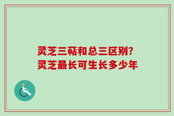 灵芝三萜和总三区别?灵芝长可生长多少年 灵芝三萜和总三区别?灵芝长可生长多少年