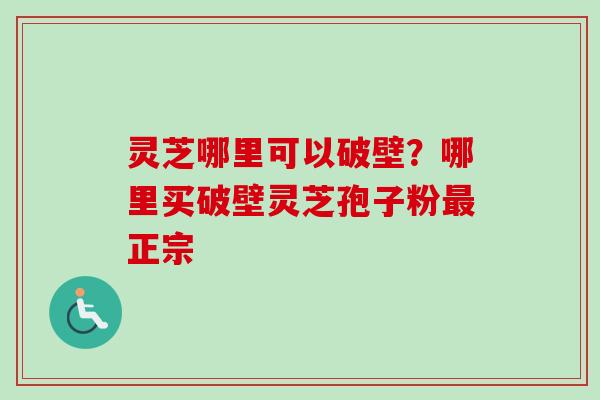灵芝哪里可以破壁?哪里买破壁灵芝孢子粉正宗 灵芝哪里可以破壁?哪里买破壁灵芝孢子粉正宗