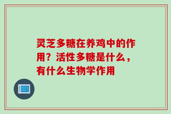 灵芝多糖在养鸡中的作用？活性多糖是什么，有什么生物学作用