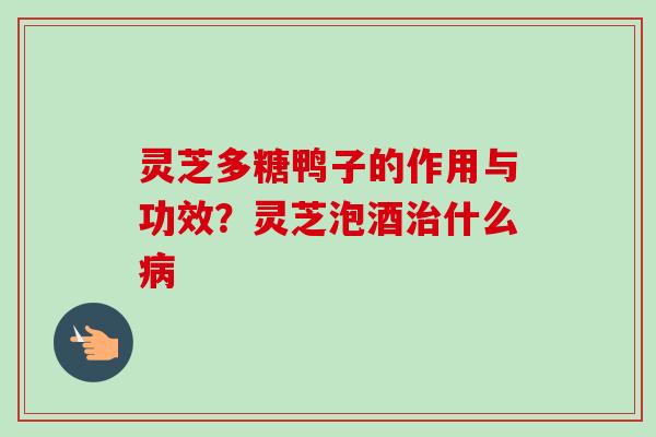 灵芝多糖鸭子的作用与功效？灵芝泡酒治什么病