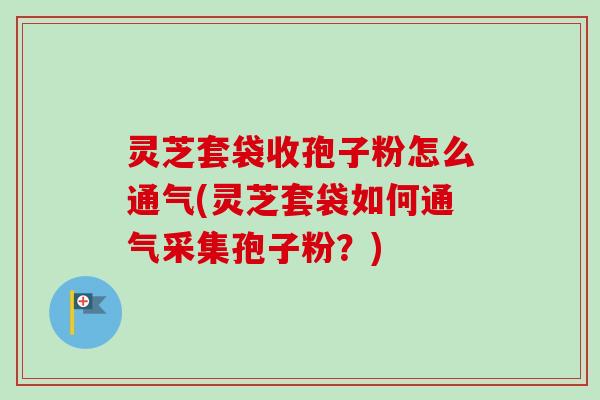 灵芝套袋收孢子粉怎么通气(灵芝套袋如何通气采集孢子粉？)