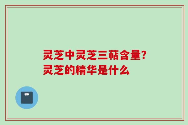灵芝中灵芝三萜含量？灵芝的精华是什么