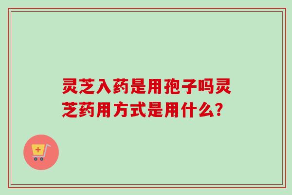 灵芝入药是用孢子吗灵芝药用方式是用什么？