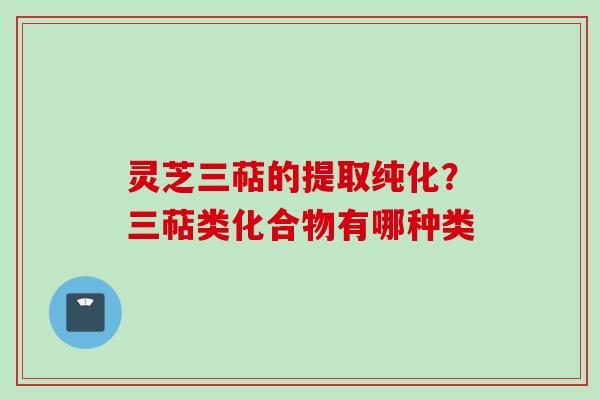 灵芝三萜的提取纯化？三萜类化合物有哪种类