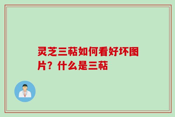 灵芝三萜如何看好坏图片？什么是三萜