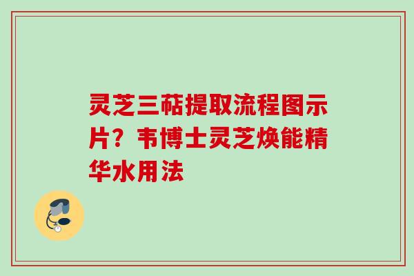 灵芝三萜提取流程图示片？韦博士灵芝焕能精华水用法