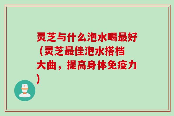 灵芝与什么泡水喝最好 (灵芝最佳泡水搭档大曲，提高身体免疫力)