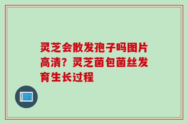 灵芝会散发孢子吗图片高清？灵芝菌包菌丝发育生长过程