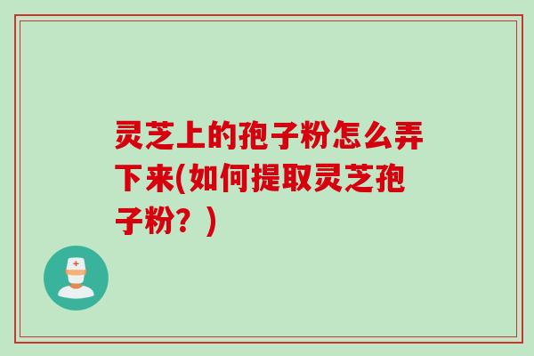 灵芝上的孢子粉怎么弄下来(如何提取灵芝孢子粉?) 灵芝上的孢子粉怎么弄下来(如何提取灵芝孢子粉?)