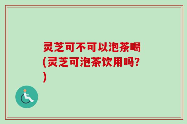 灵芝可不可以泡茶喝 (灵芝可泡茶饮用吗？)