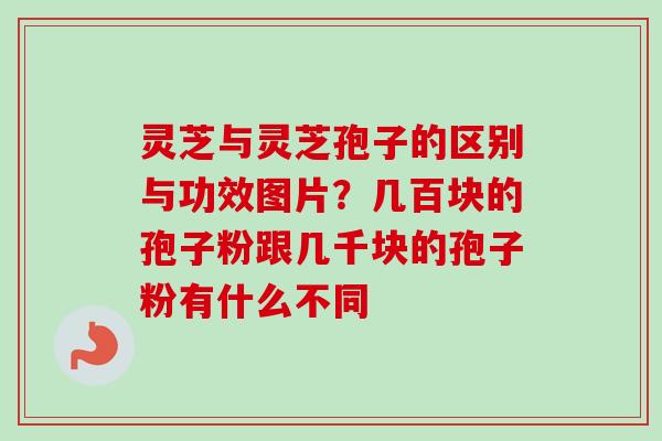 灵芝与灵芝孢子的区别与功效图片？几百块的孢子粉跟几千块的孢子粉有什么不同