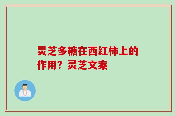 灵芝多糖在西红柿上的作用？灵芝文案