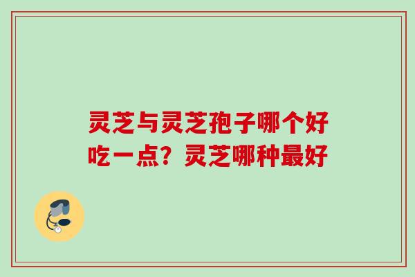 灵芝与灵芝孢子哪个好吃一点？灵芝哪种最好
