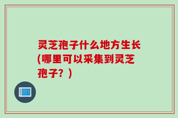 灵芝孢子什么地方生长(哪里可以采集到灵芝孢子？)