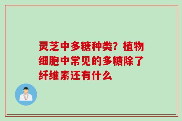 灵芝中多糖种类？植物细胞中常见的多糖除了纤维素还有什么