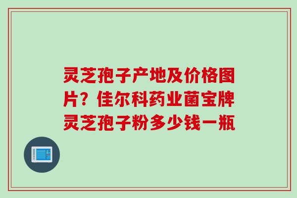 灵芝孢子产地及价格图片？佳尔科药业菌宝牌灵芝孢子粉多少钱一瓶