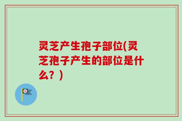 灵芝产生孢子部位(灵芝孢子产生的部位是什么？)