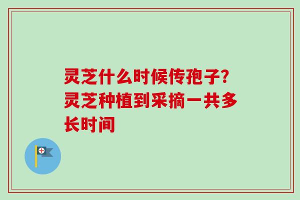 灵芝什么时候传孢子？灵芝种植到采摘一共多长时间