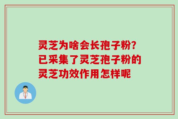灵芝为啥会长孢子粉？已采集了灵芝孢子粉的灵芝功效作用怎样呢