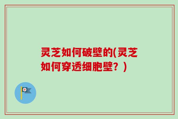 灵芝如何破壁的(灵芝如何穿透细胞壁?) 灵芝如何破壁的(灵芝如何穿透细胞壁?)