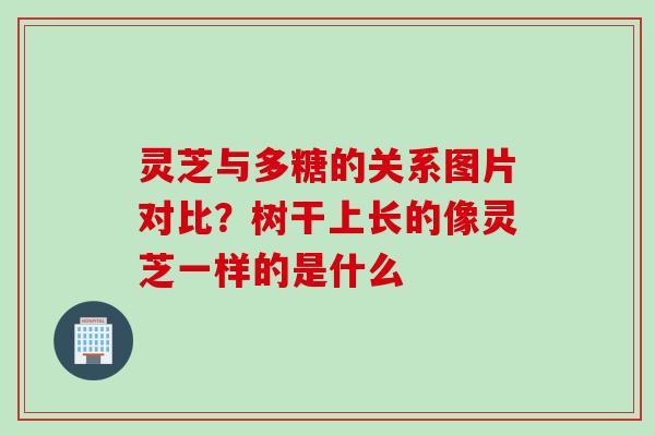 灵芝与多糖的关系图片对比？树干上长的像灵芝一样的是什么