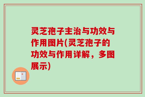 灵芝孢子主治与功效与作用图片(灵芝孢子的功效与作用详解，多图展示)