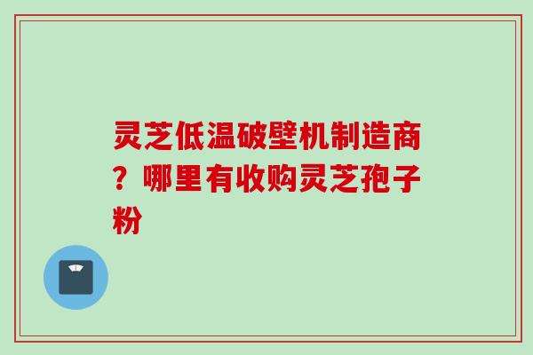 灵芝低温破壁机制造商？哪里有收购灵芝孢子粉