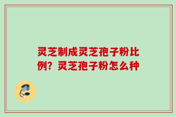 灵芝制成灵芝孢子粉比例？灵芝孢子粉怎么种