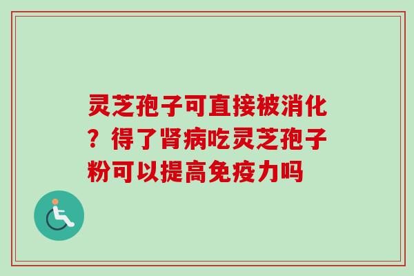 灵芝孢子可直接被消化？得了肾病吃灵芝孢子粉可以提高免疫力吗