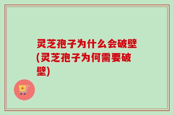 灵芝孢子为什么会破壁(灵芝孢子为何需要破壁)