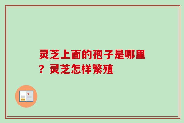 灵芝上面的孢子是哪里？灵芝怎样繁殖