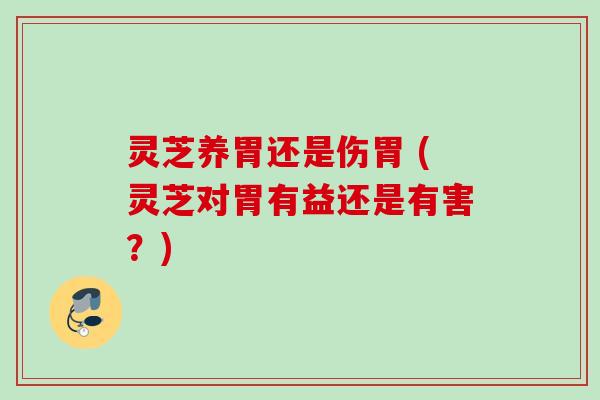 灵芝养胃还是伤胃 (灵芝对胃有益还是有害？)