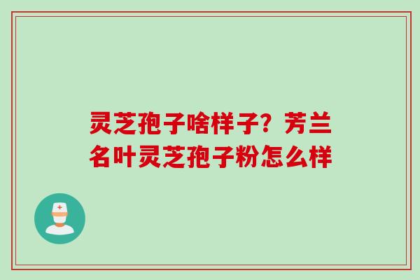 灵芝孢子啥样子？芳兰名叶灵芝孢子粉怎么样