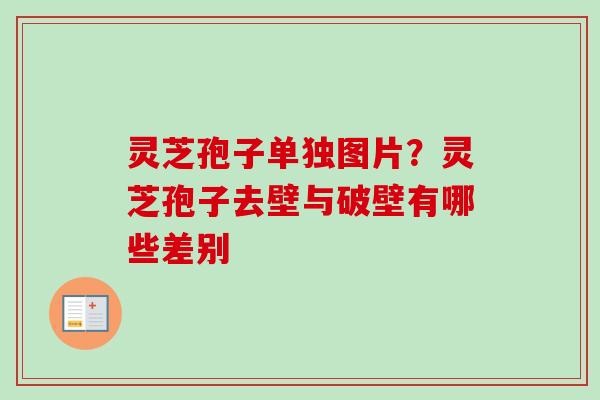 灵芝孢子单独图片？灵芝孢子去壁与破壁有哪些差别