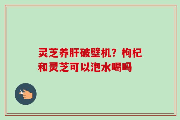 灵芝养肝破壁机？枸杞和灵芝可以泡水喝吗