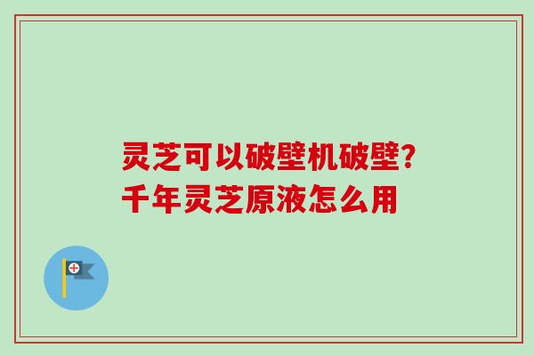 灵芝可以破壁机破壁？千年灵芝原液怎么用