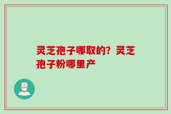 灵芝孢子哪取的？灵芝孢子粉哪里产