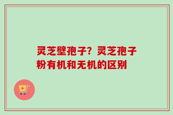 灵芝壁孢子?灵芝孢子粉有机和无机的区别 灵芝壁孢子?灵芝孢子粉有机和无机的区别