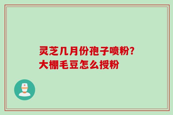 灵芝几月份孢子喷粉？大棚毛豆怎么授粉