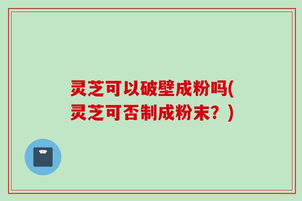 灵芝可以破壁成粉吗(灵芝可否制成粉末？)