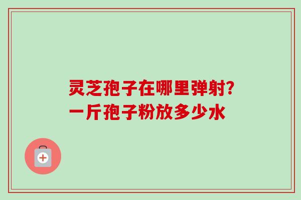 灵芝孢子在哪里弹射？一斤孢子粉放多少水