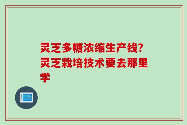 灵芝多糖浓缩生产线？灵芝栽培技术要去那里学