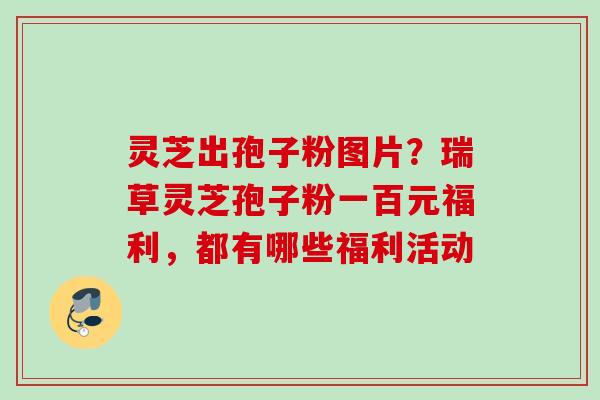 灵芝出孢子粉图片？瑞草灵芝孢子粉一百元福利，都有哪些福利活动