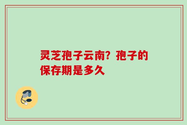 灵芝孢子云南？孢子的保存期是多久
