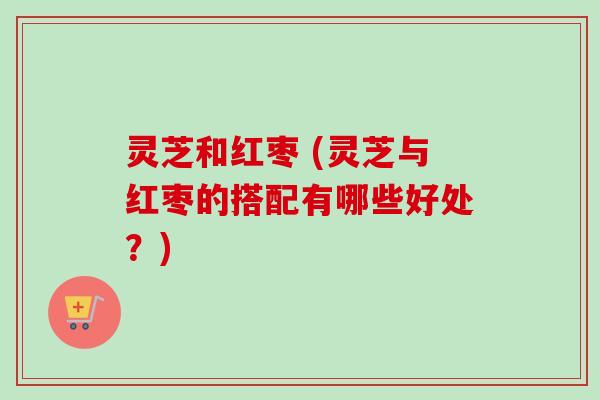 灵芝和红枣 (灵芝与红枣的搭配有哪些好处？)
