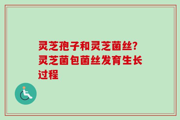 灵芝孢子和灵芝菌丝？灵芝菌包菌丝发育生长过程