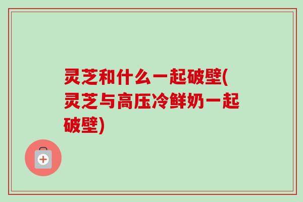 灵芝和什么一起破壁(灵芝与高压冷鲜奶一起破壁)